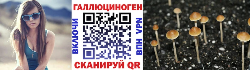 это Telegram  Велиж  Галлюциногенные грибы прущие грибы 