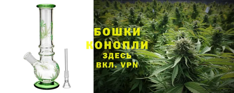 где купить наркоту  Велиж  mega зеркало  Бошки марихуана White Widow 